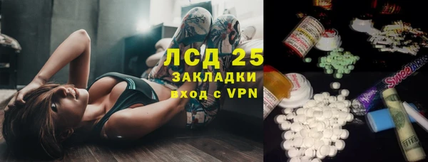 ПСИЛОЦИБИНОВЫЕ ГРИБЫ Карпинск