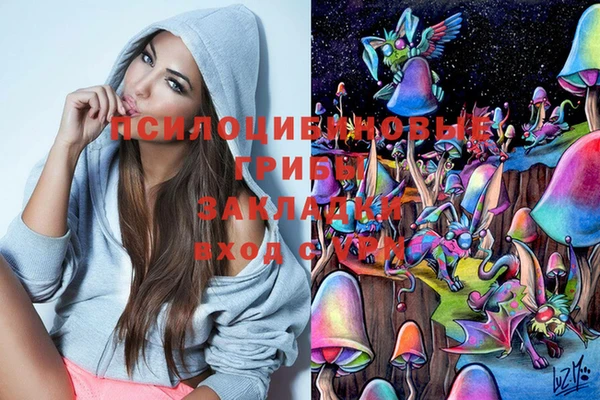 ПСИЛОЦИБИНОВЫЕ ГРИБЫ Касимов