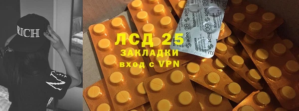 ПСИЛОЦИБИНОВЫЕ ГРИБЫ Карпинск