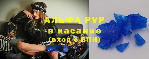 ПСИЛОЦИБИНОВЫЕ ГРИБЫ Касимов