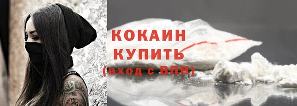ПСИЛОЦИБИНОВЫЕ ГРИБЫ Касимов