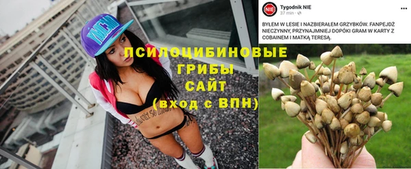ПСИЛОЦИБИНОВЫЕ ГРИБЫ Карпинск