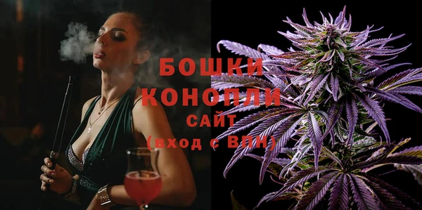 ПСИЛОЦИБИНОВЫЕ ГРИБЫ Касимов