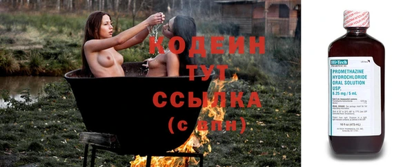 ПСИЛОЦИБИНОВЫЕ ГРИБЫ Карпинск