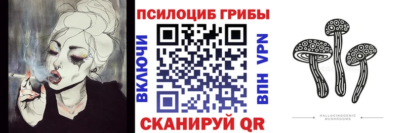 Купить  Мурманск  Псилоцибиновые грибы прущие грибы 